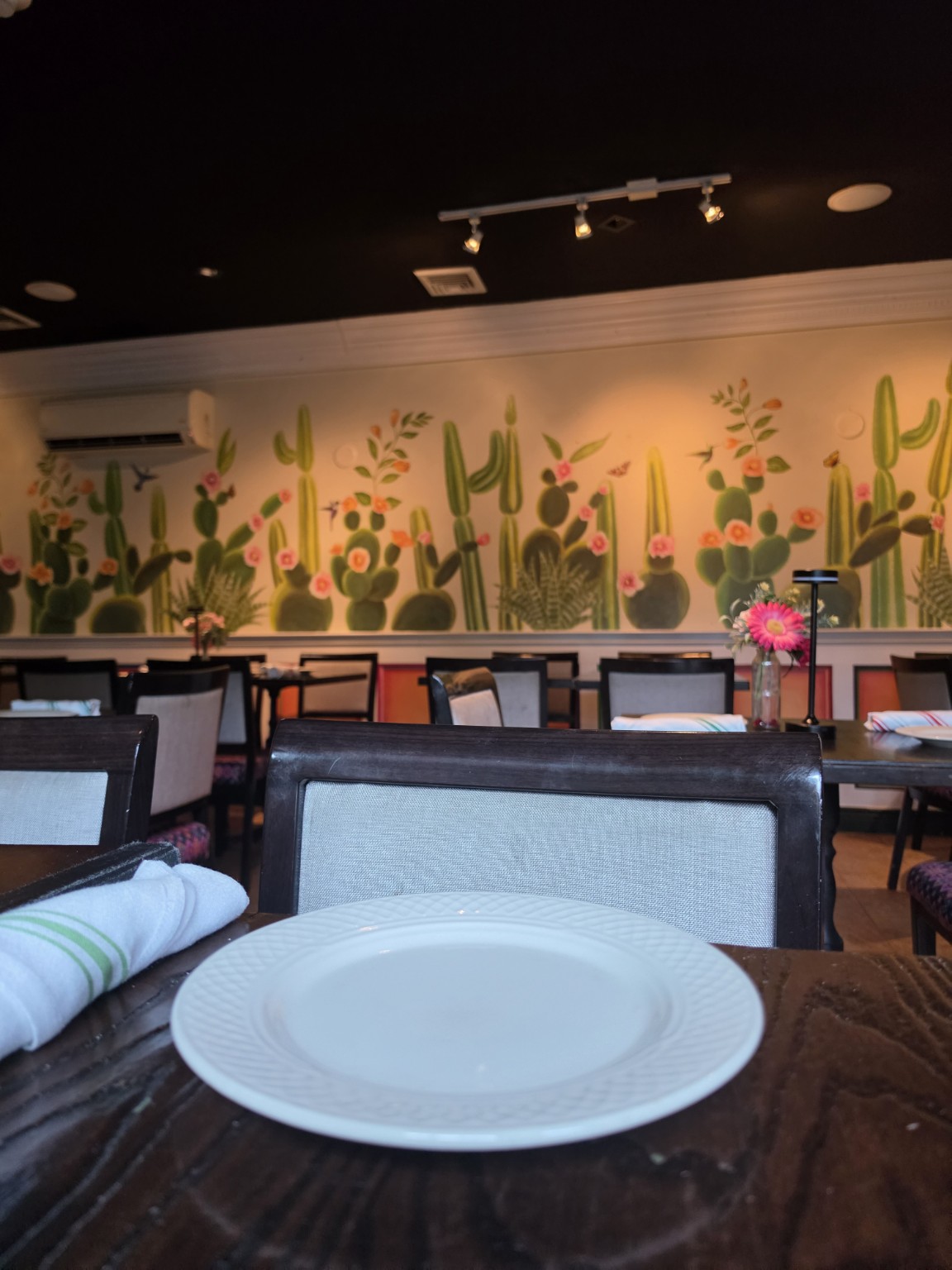 Cinco de Mayo interior